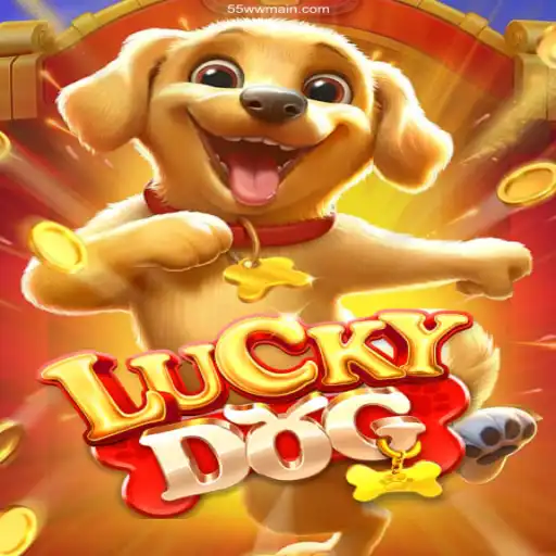 Exploring LuckyDog: Brazil's Reliable Gaming Experience