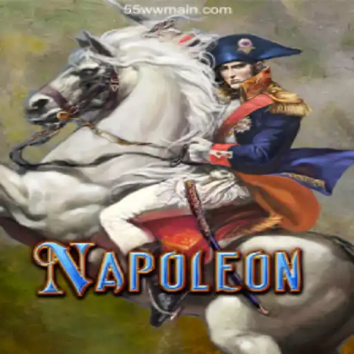 Discovering Napoleon: A Strategic Card Game Experience